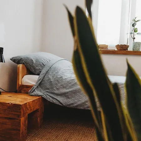 Kieszonka Dla Singla 아파트 *