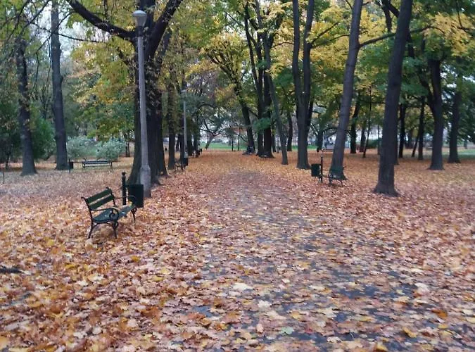 Apartamento Kieszonka Dla Singla *