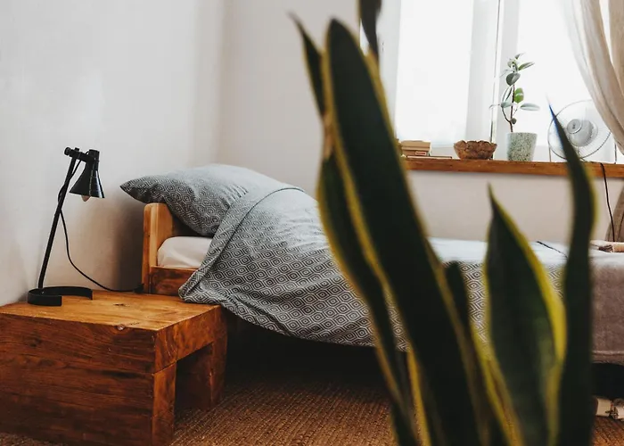 Kieszonka Dla Singla Apartamento *